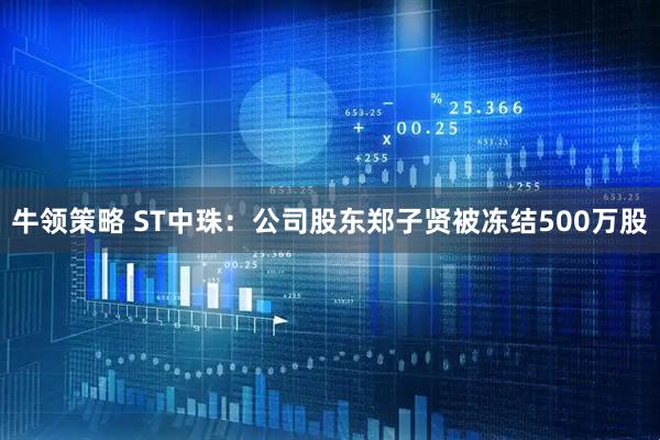 牛领策略 ST中珠：公司股东郑子贤被冻结500万股