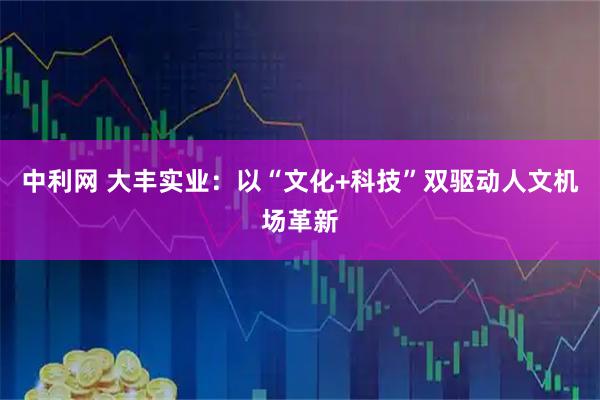 中利网 大丰实业：以“文化+科技”双驱动人文机场革新