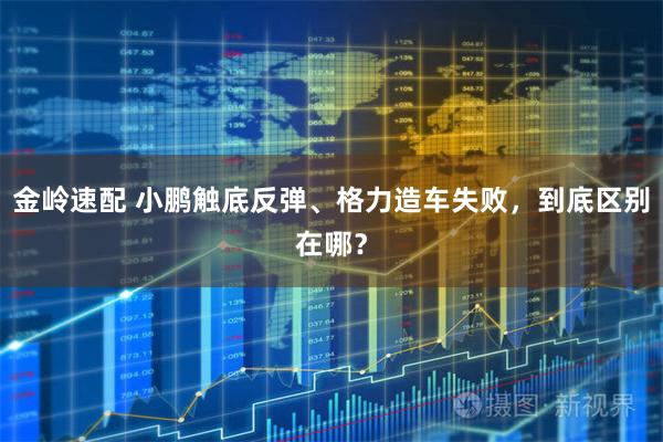 金岭速配 小鹏触底反弹、格力造车失败，到底区别在哪？