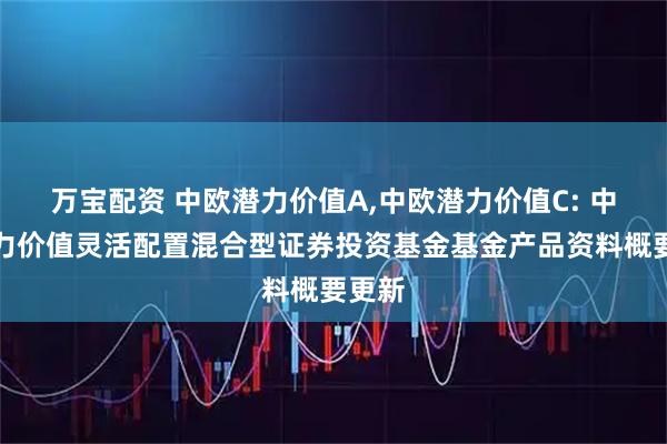 万宝配资 中欧潜力价值A,中欧潜力价值C: 中欧潜力价值灵活配置混合型证券投资基金基金产品资料概要更新